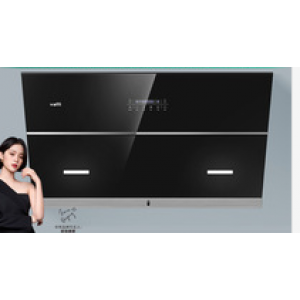 Range hood panel