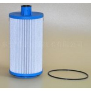 Swimming pool filter