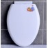 Plastic toilet cover