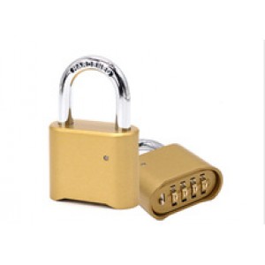 Iron padlock