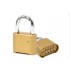 Iron padlock