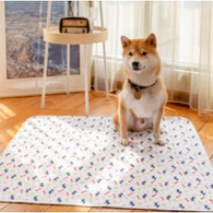 Pet urine pad